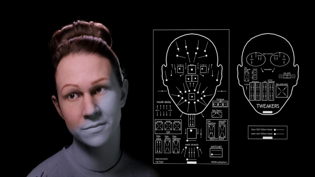 Rigging and animation Digital Double